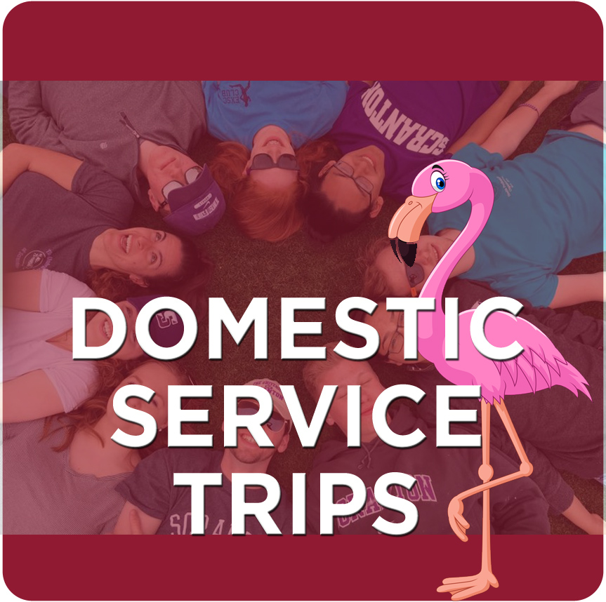 Domestic Service Trips